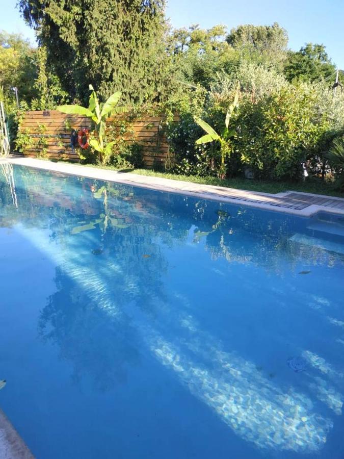 Villa Paradiso Del Garda Vista-Verde Bardolino Eksteriør bilde